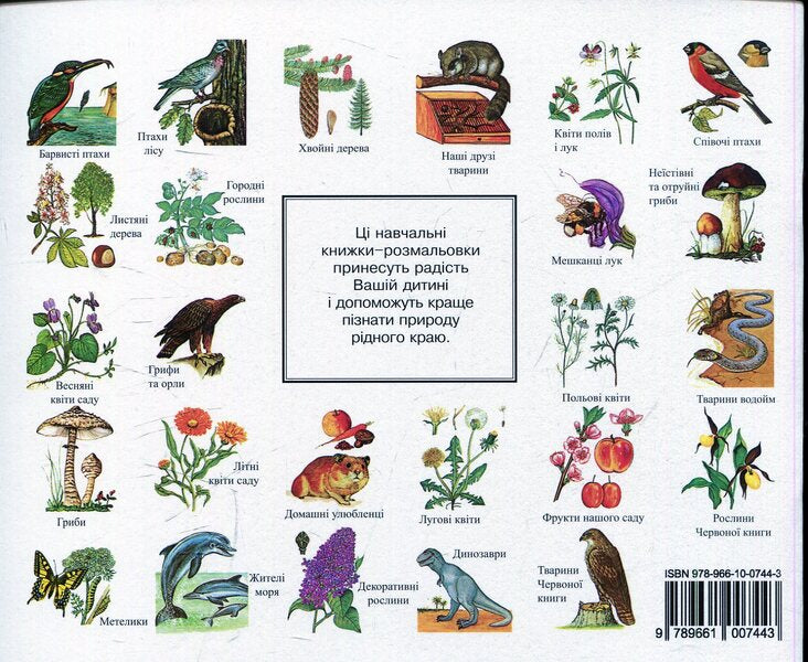 Coniferous Trees. Educational Coloring Book / Хвойні дерева. Навчальна книжка-розмальовка Erwin Aigner / Ервін Айгнер 9789661007443,9789661007610-2