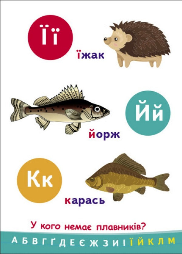 Connoisseur Alphabet / Пізнавальчик. Абетка / Author not specified 9789667512873-4