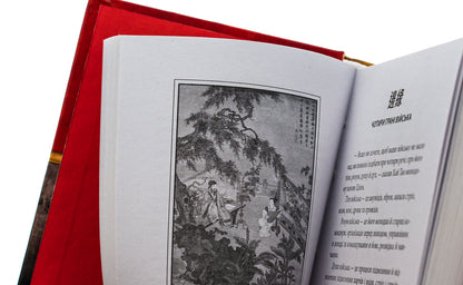 Conversations Of The Master High Tao About The Strategy. Book 1 / Бесіди майстра Хай Тао про стратегію. Книга 1 Valery bakery / Валерія Пекар 9786175517673-4