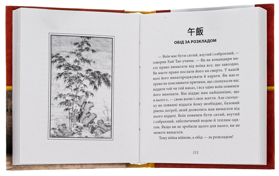 Conversations Of The Master High Tao About The Strategy. Book 1 / Бесіди майстра Хай Тао про стратегію. Книга 1 Valery bakery / Валерія Пекар 9786175517673-5