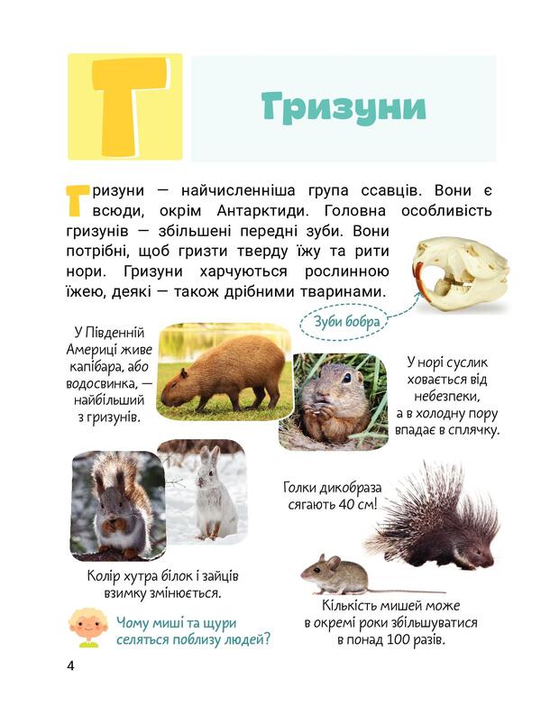 Cool alphabet. Animals / Класна абетка. Тварини Юлия Буглак 978-966-945-316-7-3