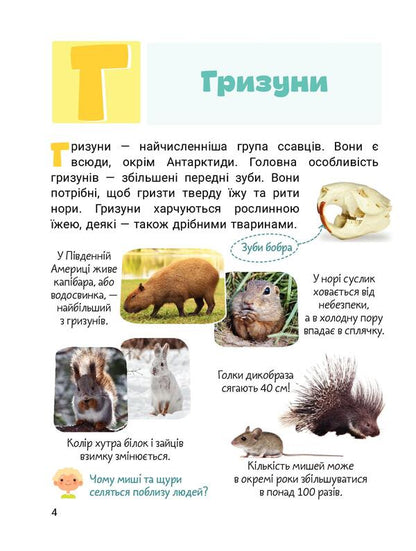 Cool alphabet. Animals / Класна абетка. Тварини Юлия Буглак 978-966-945-316-7-3