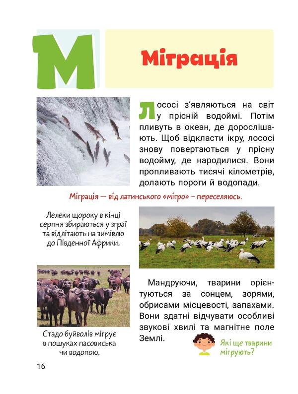 Cool alphabet. Animals / Класна абетка. Тварини Юлия Буглак 978-966-945-316-7-5