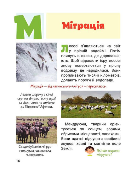 Cool alphabet. Animals / Класна абетка. Тварини Юлия Буглак 978-966-945-316-7-5