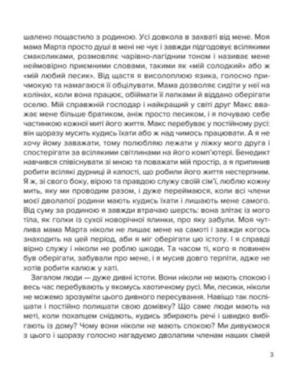 Cooper's Christmas Adventures / Різдвяні пригоди Купера Ирина Константюк 9789662793314-4