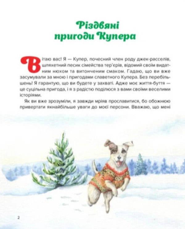 Cooper's Christmas Adventures / Різдвяні пригоди Купера Iryna Konstantyuk / Ірина Константюк 9789662793314-3