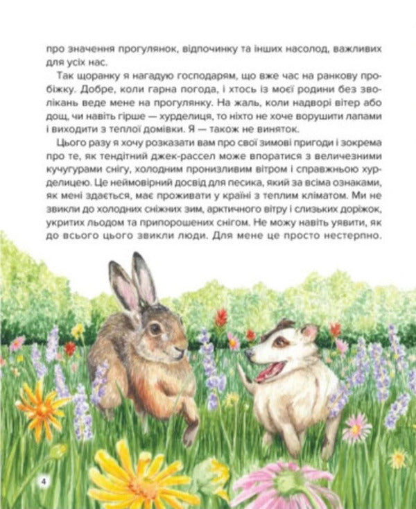 Cooper's Christmas Adventures / Різдвяні пригоди Купера Iryna Konstantyuk / Ірина Константюк 9789662793314-5