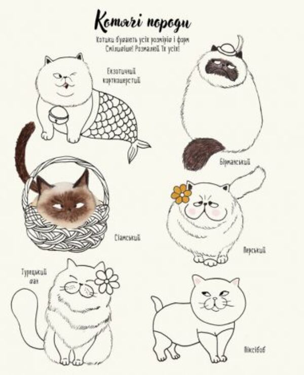 Cotymort How to draw cats / Котюморт. Як малювати котиків Лулу Майо 978-617-7579-35-8-3
