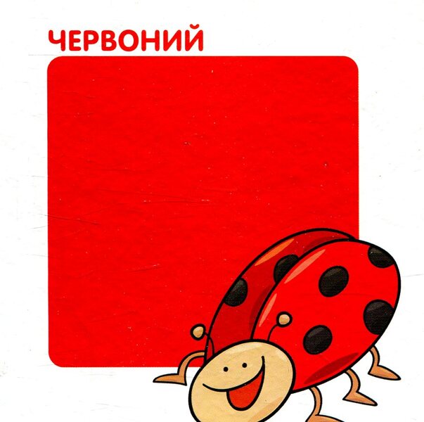 Counting. Numbers, shapes and colors on the cards / Лічба. Цифри, фігури та кольори на картках  978-966-97268-7-2-4