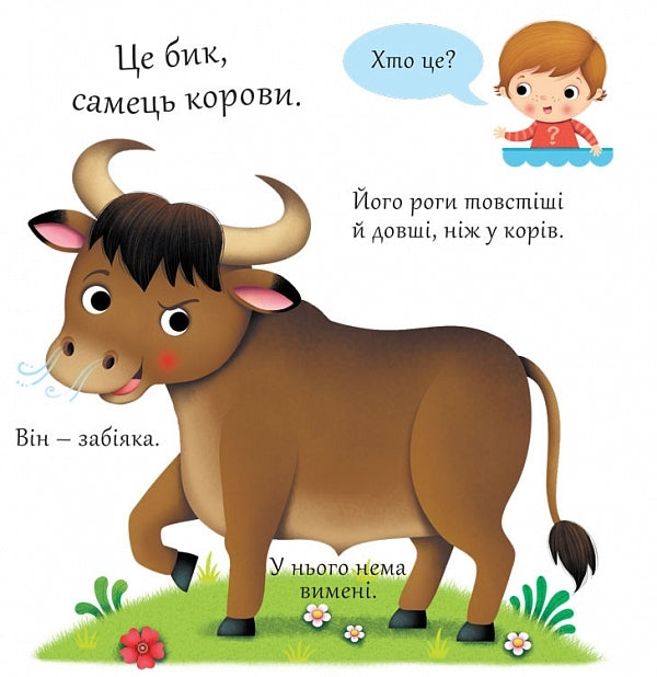 Cows / Корови Emily Beaumont / Емілі Бомон 9789661051415-4