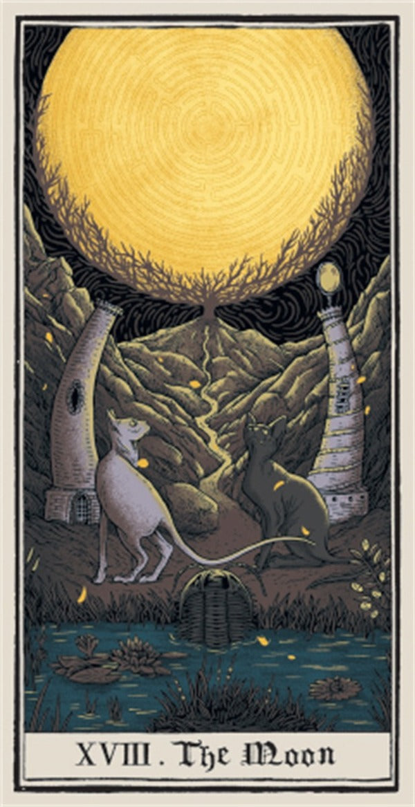 Cthulhu Dark Arts Tarot / Author not specified 9781419758102-5