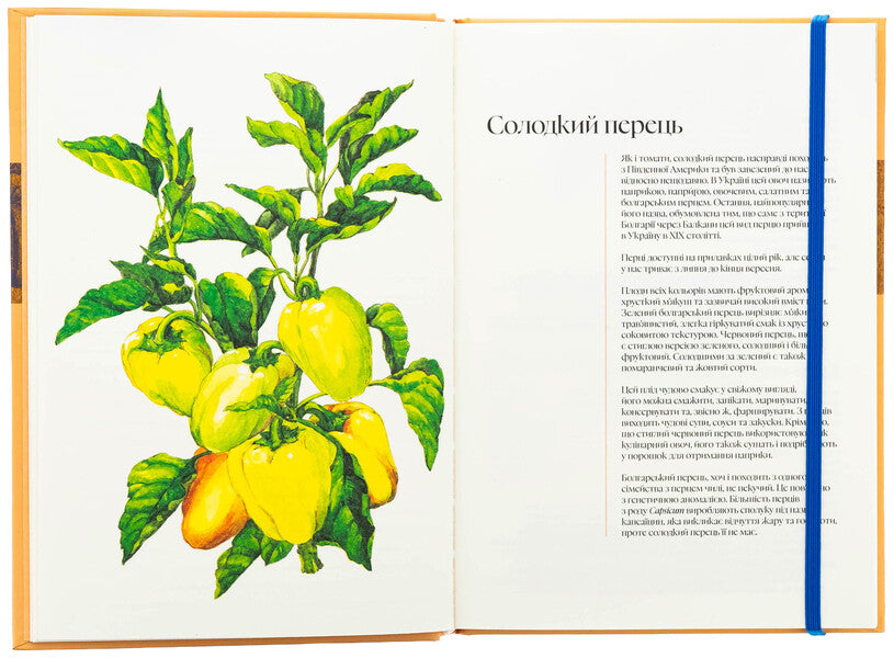 Culinary notebook Autumn / Кулінарний записник Осінь Дария Крикунова 978-617-8091-01-9-5