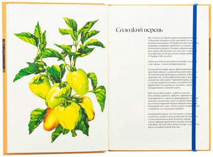 Culinary notebook Autumn / Кулінарний записник Осінь Дария Крикунова 978-617-8091-01-9-5
