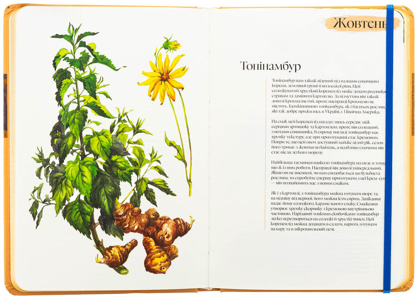 Culinary notebook Autumn (limited series) / Кулінарний записник Осінь (лімітована серія) Дария Крикунова 978-617-8091-04-0-5
