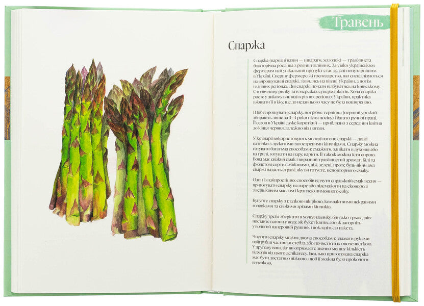 Culinary notebook Spring / Кулінарний записник Весна Дария Крикунова 978-617-8091-03-3-5