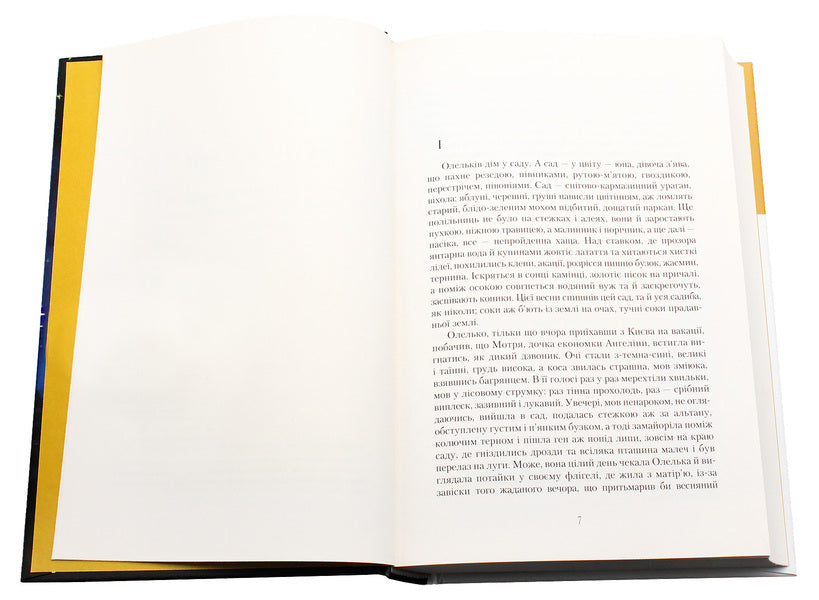 Cygnus Constellation / Сузір'я Лебедя Yury Kosach / Юрий Косач 9786175851289-4