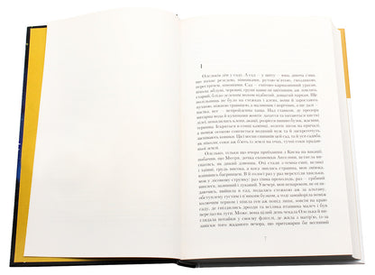 Cygnus Constellation / Сузір'я Лебедя Yury Kosach / Юрий Косач 9786175851289-4