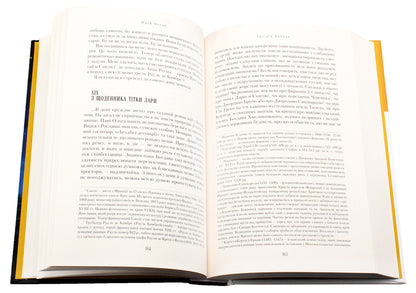 Cygnus Constellation / Сузір'я Лебедя Yury Kosach / Юрий Косач 9786175851289-5