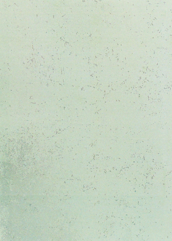 Cygnus constellation. Aeneas and the lives of others. Señor Nicolo / Сузір'я Лебедя. Еней та життя інших. Сеньйор Ніколо Юрий Косач 978-611-01-1935-1-2