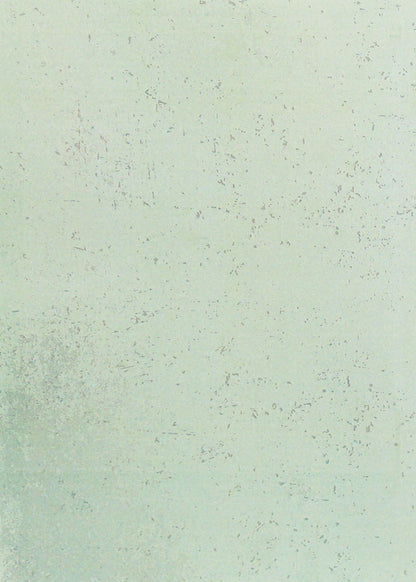 Cygnus constellation. Aeneas and the lives of others. Señor Nicolo / Сузір'я Лебедя. Еней та життя інших. Сеньйор Ніколо Юрий Косач 978-611-01-1935-1-2