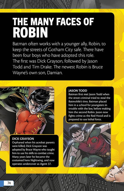 DC Comics Batman Adventures of the Dark Knight / DC Comics Batman Adventures of the Dark Knight Билли Рэкс 978-0-24123-226-2-5