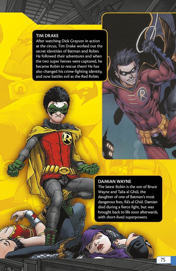 DC Comics Batman Adventures of the Dark Knight / DC Comics Batman Adventures of the Dark Knight Билли Рэкс 978-0-24123-226-2-6