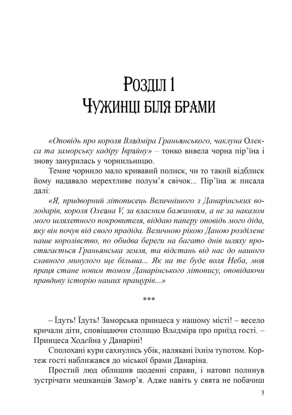 Danarin Chronicle. Book 1. Overseas Guest / Данарінський літопис. Книга 1. Заморська гостя Natalia Devyatko / Наталія Дев'ятко 9786178462055-2