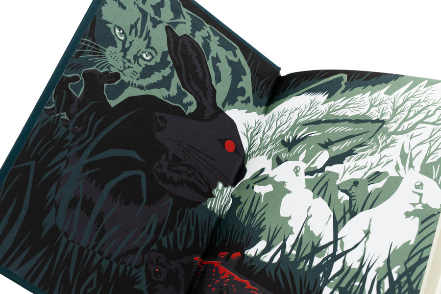 Dangerous journeys / Небезпечні мандри Ричард Адамс 978-617-15-1371-6-4