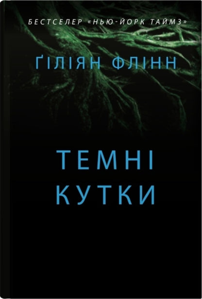 Dark Corners / Темні кутки Gillian Flinn / Джилліан Флінн 9789669487865-1