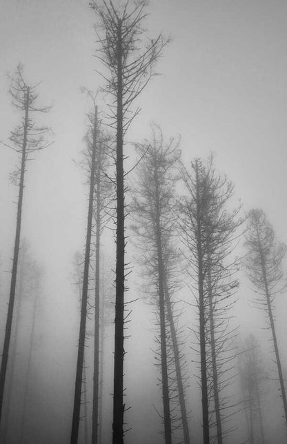 Darkness / Темрява Maxim Gah / Максим Гач 9786178336493-4