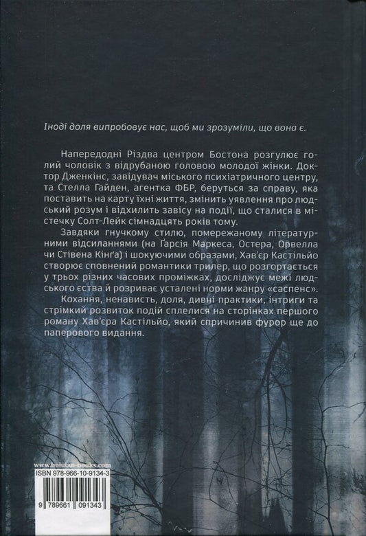 Day when the mind is lost / День, коли втрачено розум Хавьер Кастильйо 978-966-10-9134-3-2