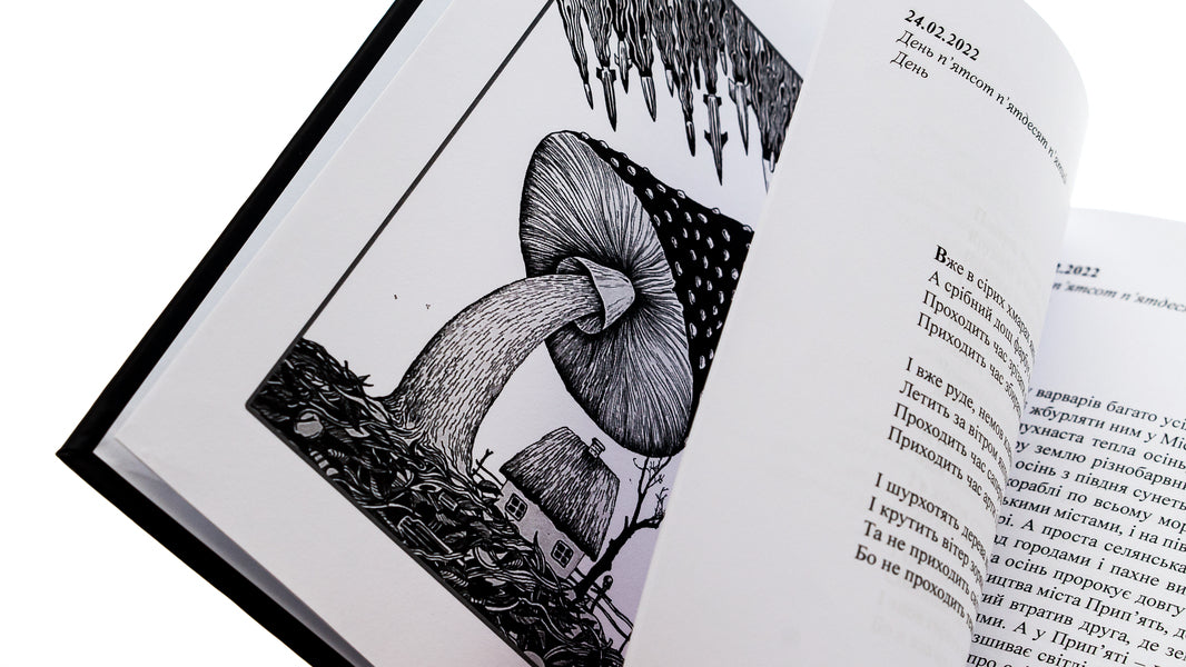 Days. Diary Of The Second Autumn 24.02.2022 / Дні. Щоденник другої осені 24.02.2022 Artym Senchilo / Артіом Сенчіло 9786178169121-4