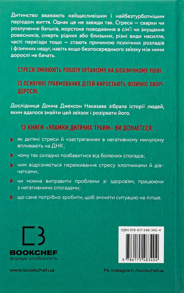 Debris of children's injuries. Why we get sick and how to stop it / Уламки дитячих травм. Чому ми хворіємо і як це припинити Донна Джексон Наказава 978-617-548-340-4-2