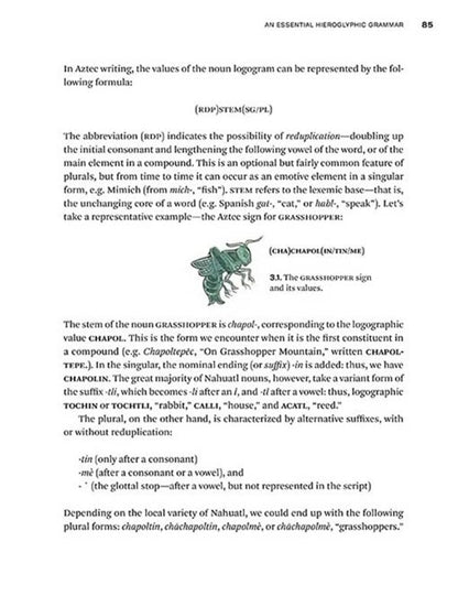 Deciphering Aztec Hieroglyphs. A Guide to Nahuatl Writing / Deciphering Aztec Hieroglyphs. A Guide to Nahuatl Writing Гордон Уиттакер 9780500518724-5