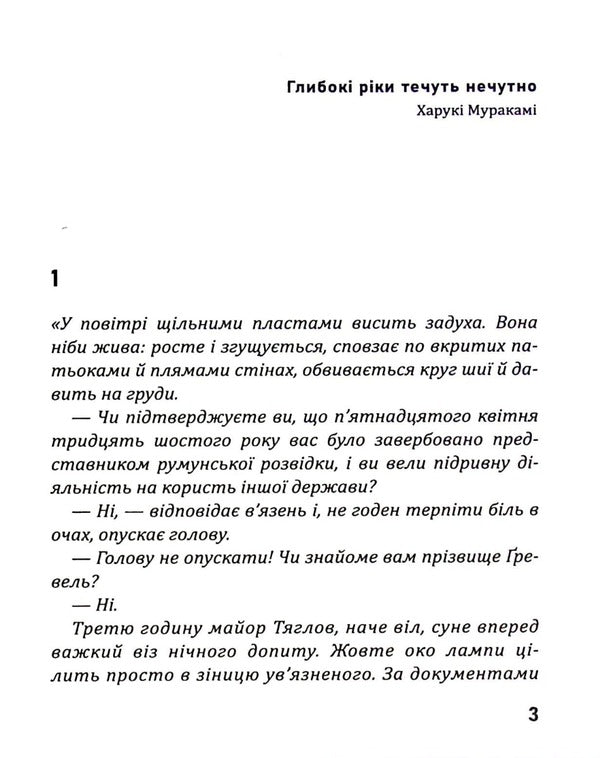 Deep rivers flow inaudibly / Глибокі ріки течуть нечутно Ирина Власенко 9786178283001-3