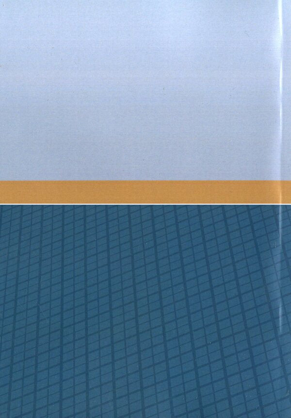 Design of vibration machines / Проектування машин вібраційної дії В. Булгаков, О. Черныш, В. Яременко, М. Березовый 978-611-01-1709-8-2