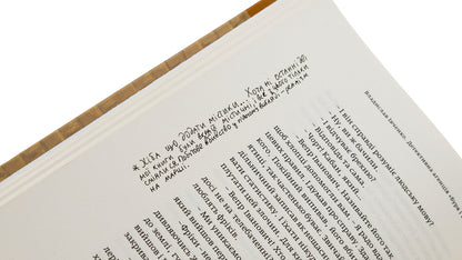 Detective Agency 'Storm and Onslaught' / Детективна агенція «Буря і натиск» Владислав Ивченко 9786175693032-4