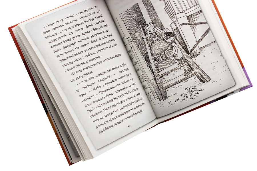 Detective Maisie Hitchins, or The Case of the Blind Beetle. Book 7 / Детектив Мейзі Хітчінз, або Справа про сліпого жука. Книга 7 Холли Вебб 978-966-993-222-8-5