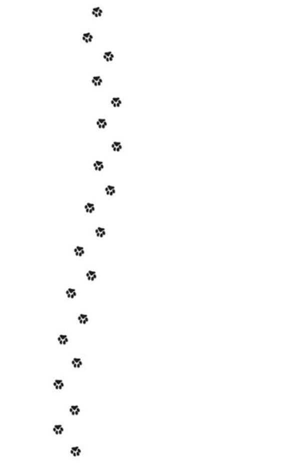 Detectives with mustaches. Book 3. Who stole the golden cat? / Детективи з вусами. Книга 3. Хто вкрав золотого кота? Алессандро Гатти, Давиде Морозинотто 978-617-09-7908-7-6