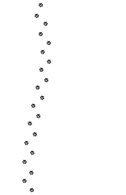 Detectives with mustaches. Book 3. Who stole the golden cat? / Детективи з вусами. Книга 3. Хто вкрав золотого кота? Алессандро Гатти, Давиде Морозинотто 978-617-09-7908-7-6