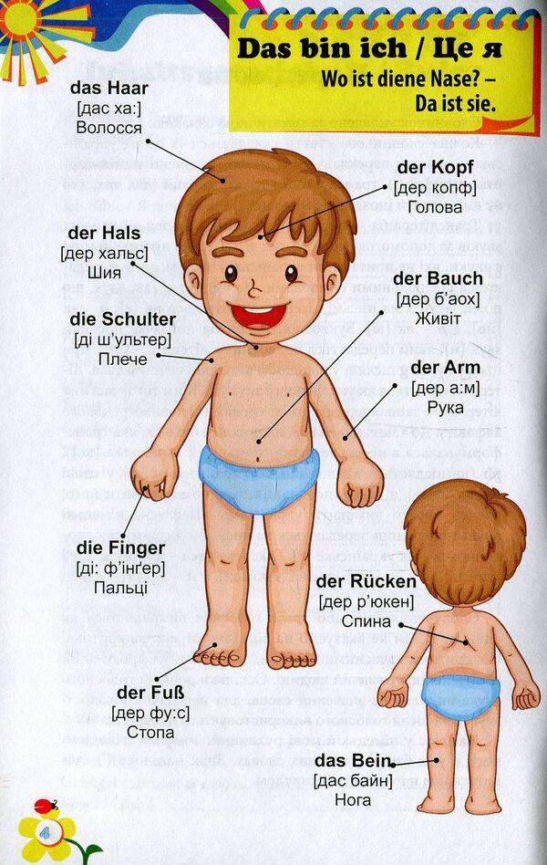 Deutsch. Dictionary in pictures. German for children / Deutsch. Словник у малюнках. Німецька для дітей Анна Калайда 978-966-498-575-5-5