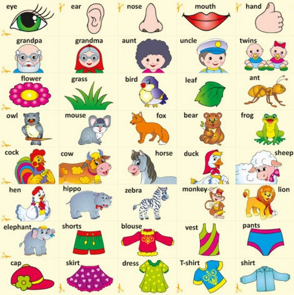Developer. We study English / Розвивалочка. Вивчаємо English  9786170974648-6