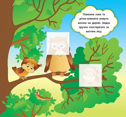 Developer Stickers Who Lives In The Forest - Налпки-розвивалки Хто живе в лс Ekaterina Smirnova - Катерина Смирнова 9789662845877-4