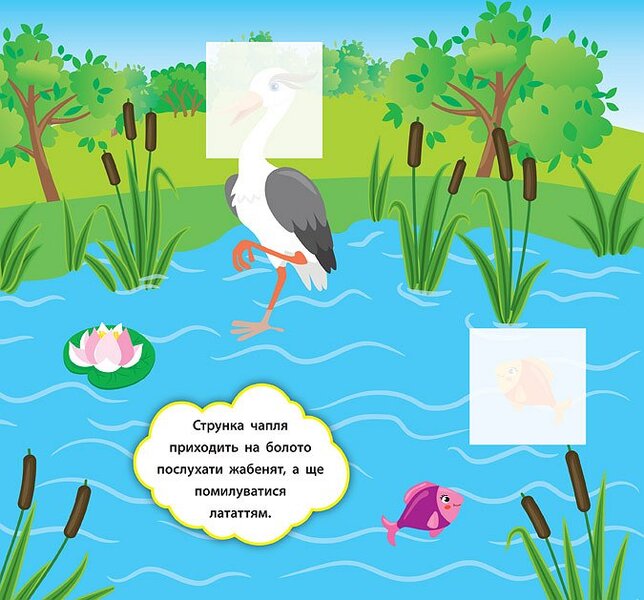 Developer Stickers Who Lives In The Forest - Налпки-розвивалки Хто живе в лс Ekaterina Smirnova - Катерина Смирнова 9789662845877-5