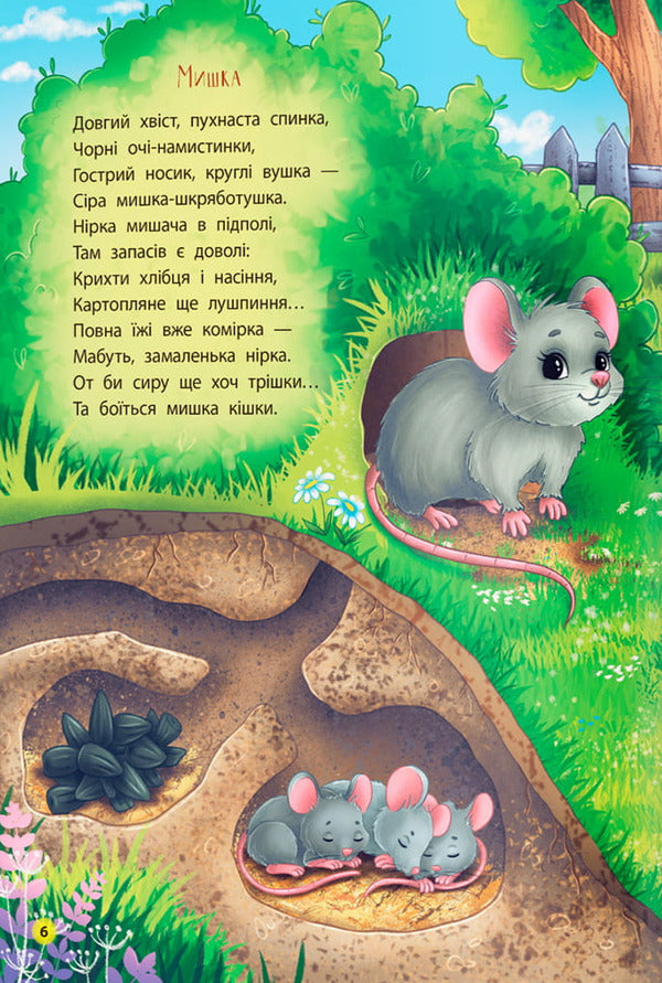 Development Poems Animals - Вршики-розвивалки Тварини Natalia Dudnyk - Наталья Дудник 9786175476581-6