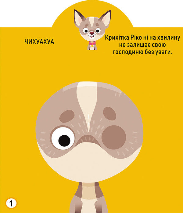 Development game. Dogs 57 large stickers / Грайка-розвивайка. Песики. 57 великих наліпок  978-966-987-556-3-2