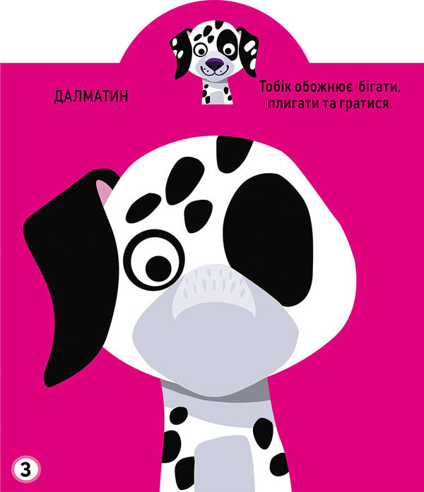 Development game. Dogs 57 large stickers / Грайка-розвивайка. Песики. 57 великих наліпок  978-966-987-556-3-4