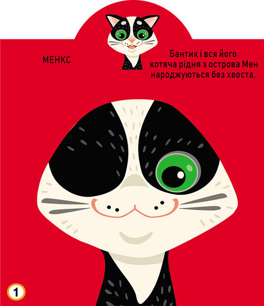 Development game. cats 69 large stickers / Грайка-розвивайка. Котики. 69 великих наліпок  978-966-987-558-7-2