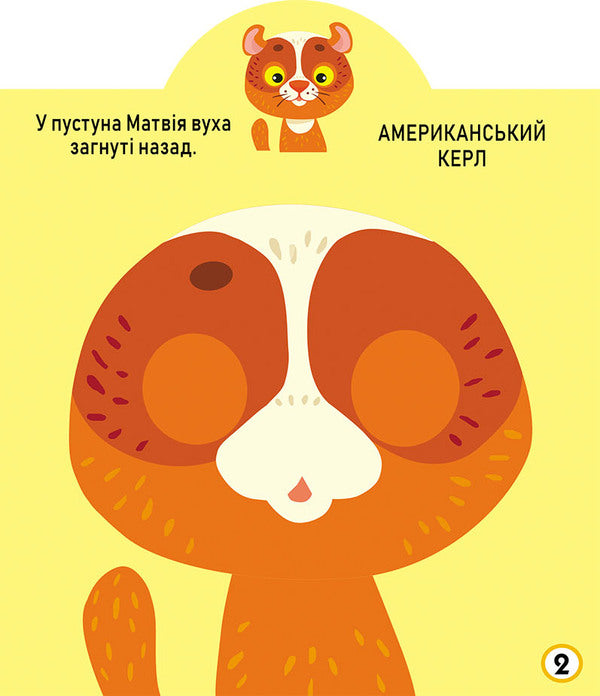 Development game. cats 69 large stickers / Грайка-розвивайка. Котики. 69 великих наліпок  978-966-987-558-7-3