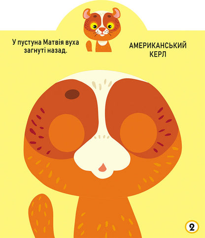 Development game. cats 69 large stickers / Грайка-розвивайка. Котики. 69 великих наліпок  978-966-987-558-7-3